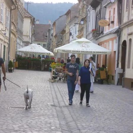Guest house Postavarului Brasov