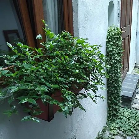 Postavarului Brasov
